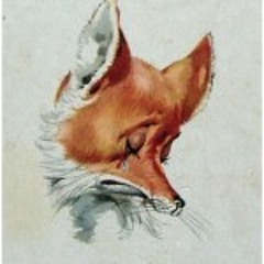 Johnny Foxville