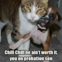 Destinee Larasha Mcknight