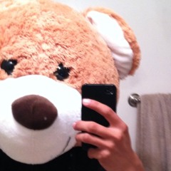 Mr. TerrBear