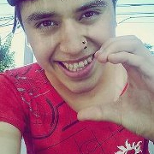 Luis Enrique Araneda’s avatar