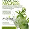mojitosboston