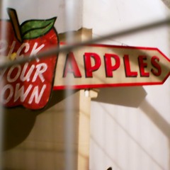 freivomhieb#duotronics