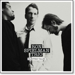 Ron Spielman Trio