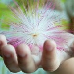 Suthep Sangvirotjanaphat