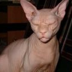 John Campbell Percussion