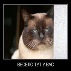 Oleg1111