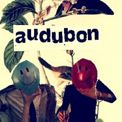 AUDUBON