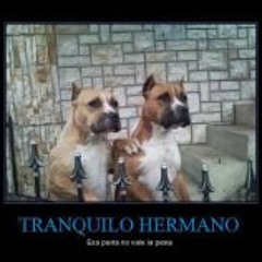 Bomber Difusión Lirikal