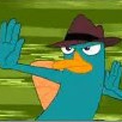 Steffen Babendererde