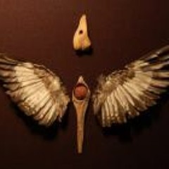 Museum of Natural Mystery