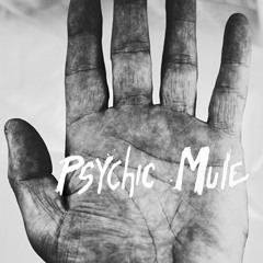 Psychic Mule Records
