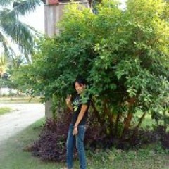 Angelyn Aro Industria