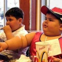 hakkstock-vs-herzogge