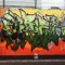 B#NOS