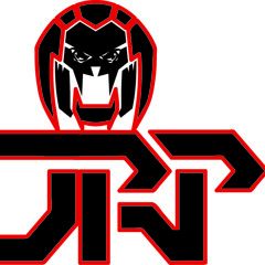 JRPproject2010