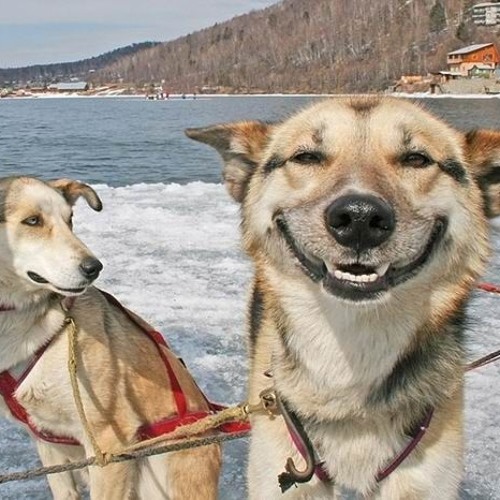 Logg - I Know You Will