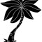 Tropical Kidz