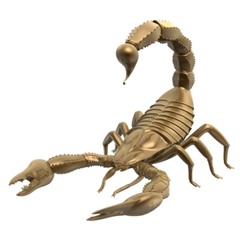 Scorpio  tnairn
