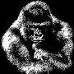 Barry_Phelan