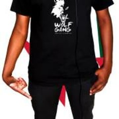 Theo Wge T-Wolf Falknor