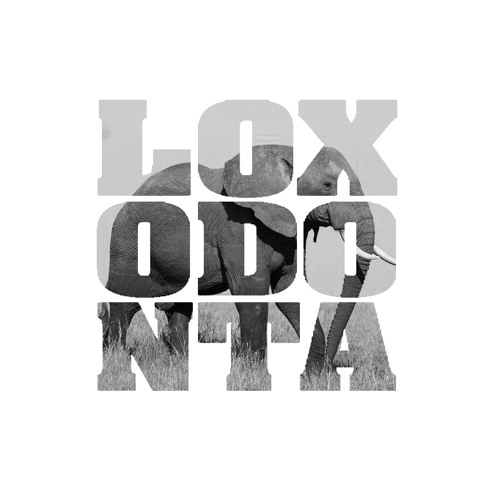 loxodontamusic’s avatar