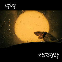 Dying Butterfly