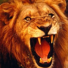 Anthony TrusttheDj Smith