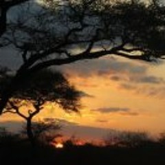 Gaopalelwe Basimolodi