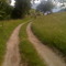 joachim-2