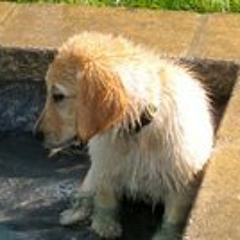 Nicholas Payne Barton