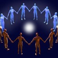 Gin Martin Stuttgart