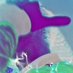 Stefan Haste Gesehen