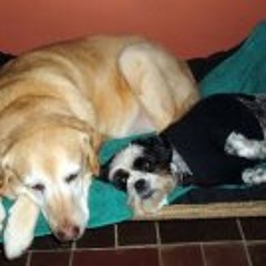 Barry-Ian Fitch-Jarrott