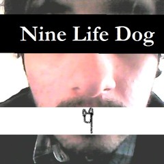 Nine Life Dog