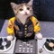Mark Slammin-vinyl Druce