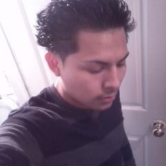 SON_GATO_798
