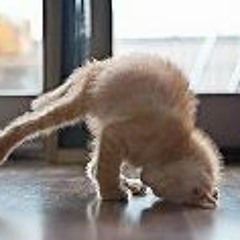 Mama for the boy I adore