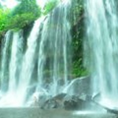 Bruno Bierrenbach Feder