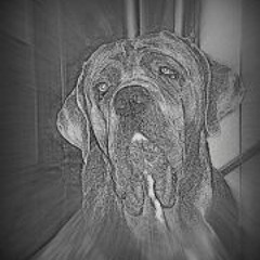 Diana Montedoro Navarrete