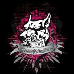 Luis AmeMicivolevite