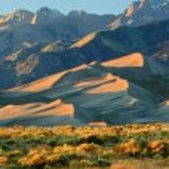 Jean Ramsdale Seamen