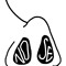 NOSE