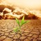 Growing-Seed-Of-Industry