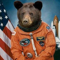 WilbaPlow