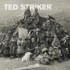 Ted Striker