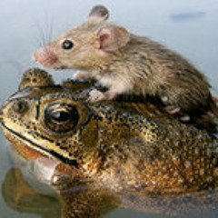 Toe-mouse