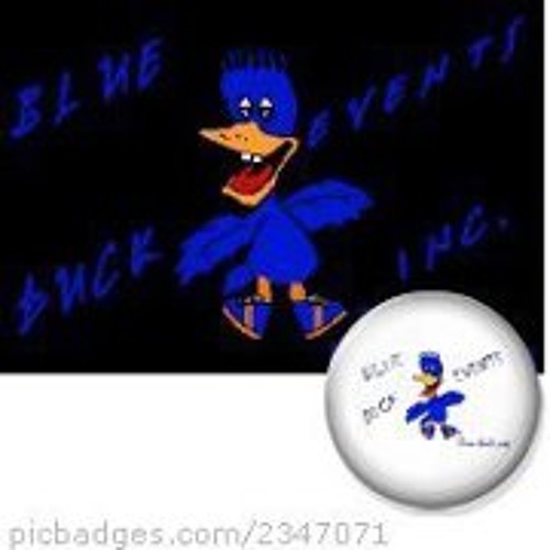 Blue Duck’s avatar