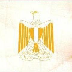 Mohamed Abd Elrahman