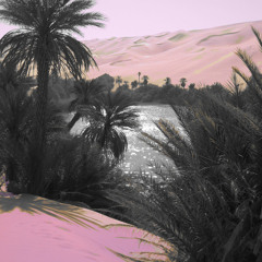 パラダイス [Paradaisu]