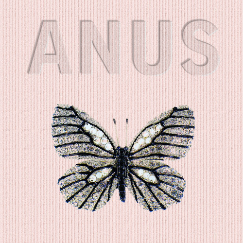 Anus Butterfly’s avatar